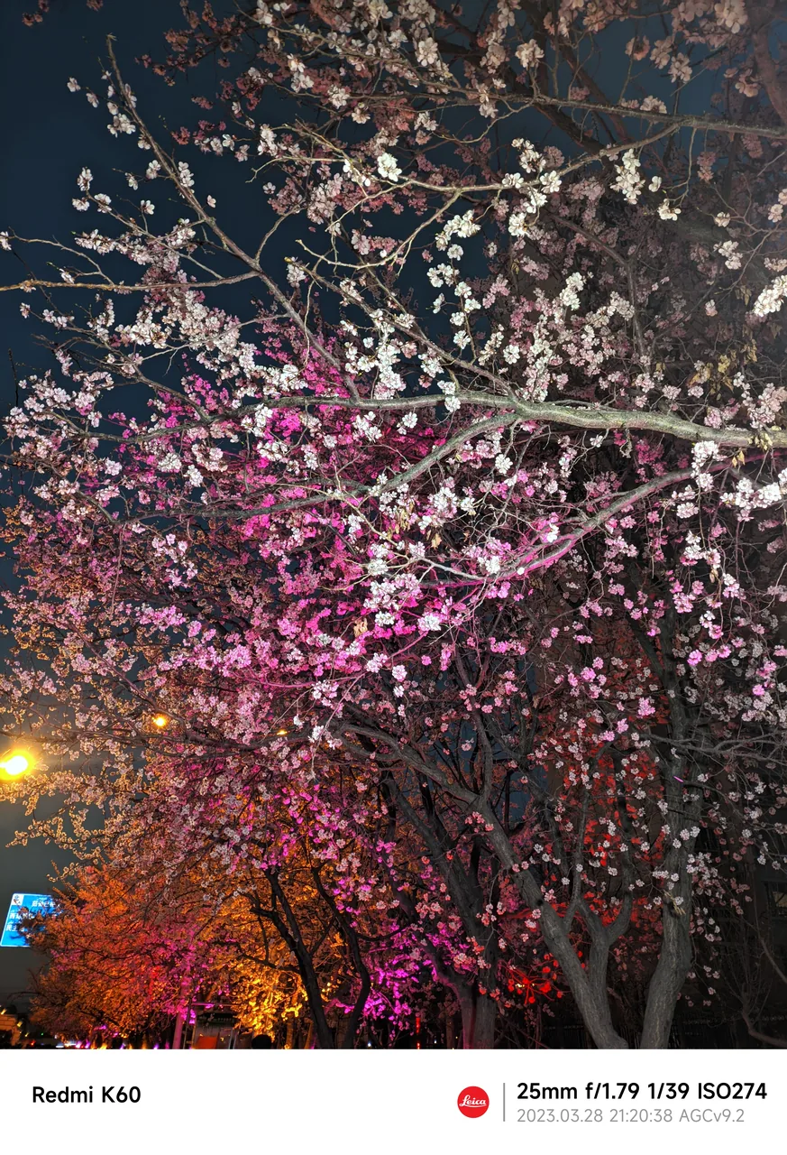 2023-03-28 21:20 拍摄
